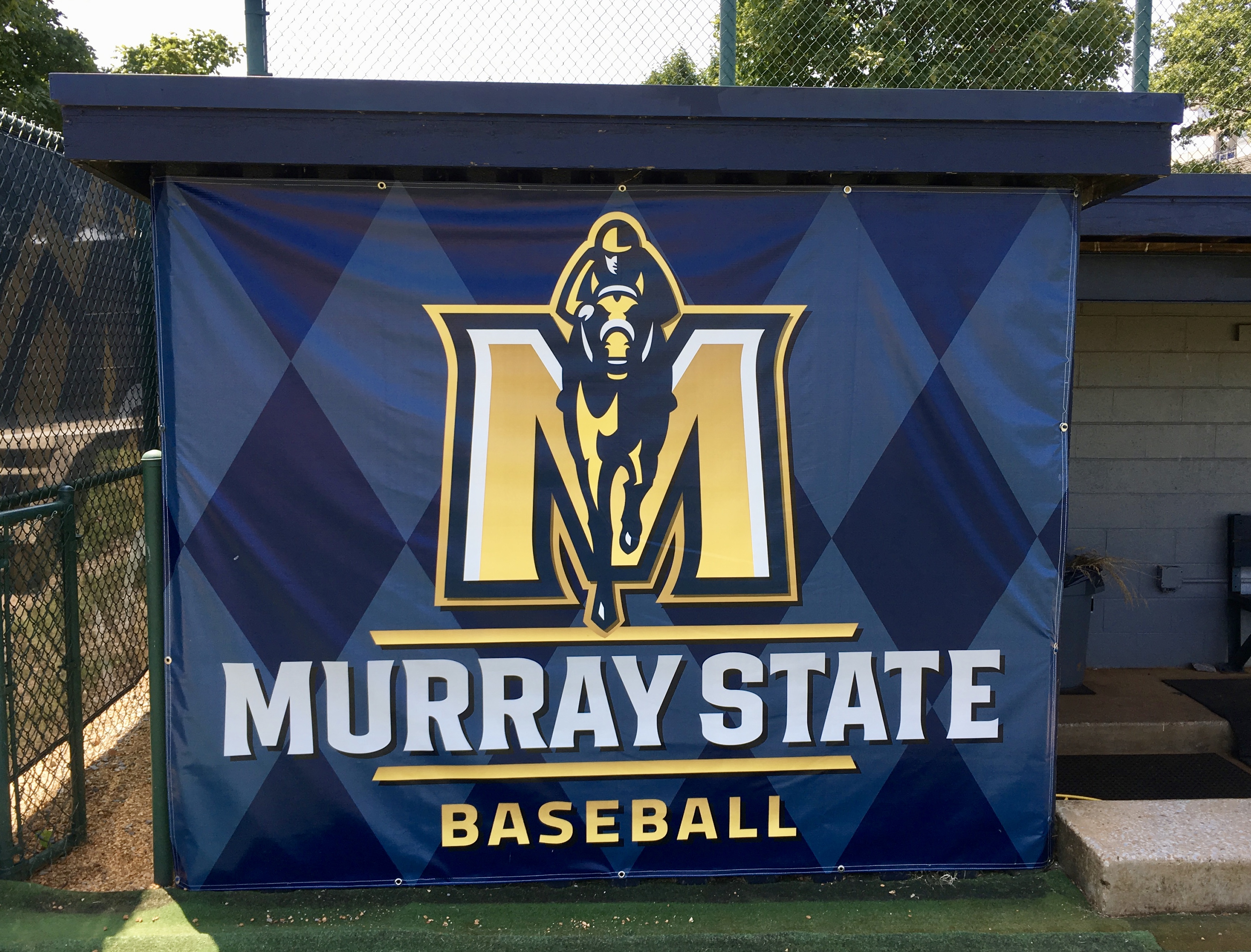 murray state baseball banner